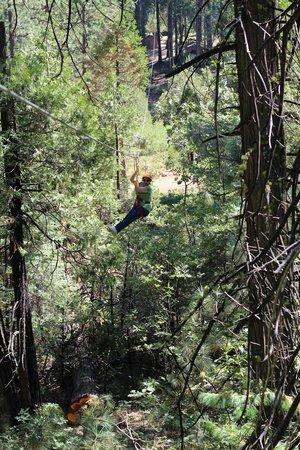 Zip Yosemite