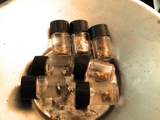 California Gold Panning