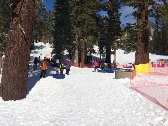 Woolly's Tube Park