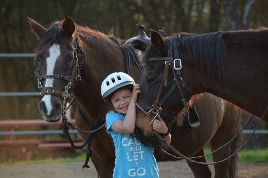 Shawna Dahl Quarter Horses & Horsemanship