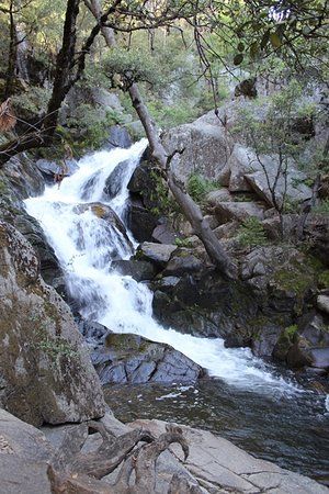 Lewis Creek Trail
