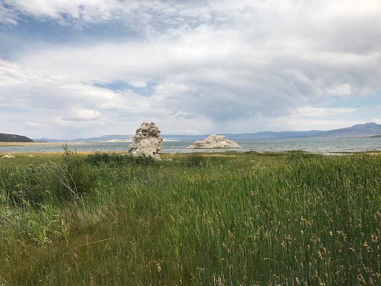 Mono Lake County Park