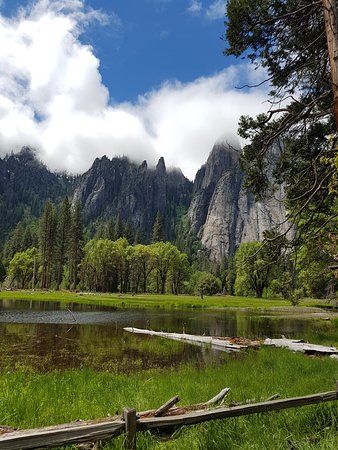 El Capitan Meadow